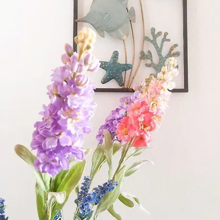 La Dimora Del Marinaio - Helloelba